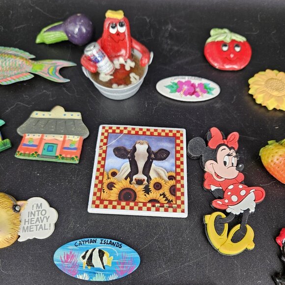 Lot 34 Refrigerator Magnets Hawaii Disney Cayman Islands Food Fruit Vegetable Ki - Picture 3 of 11